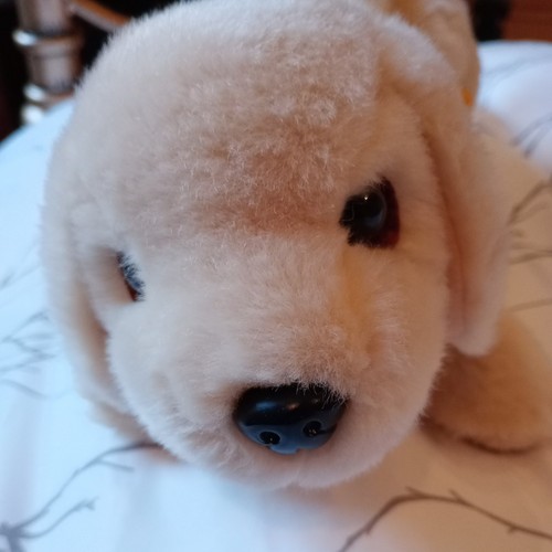 Vintage andrex puppy - vintage,
