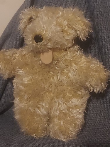 Vintage 1970s shaggy - vintage,